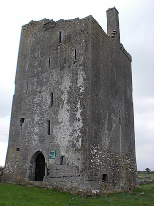 How to get to Drumharsna Castle with public transit - About the place