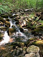 East Branch Whiteface River