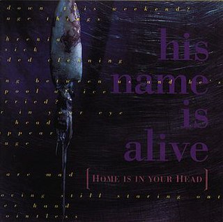 <i>Home Is in Your Head</i> album by His Name Is Alive