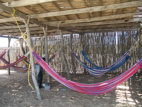 Typical Wayuu rectangular day house with hammocks by the Caribbean Sea. The Chinchorros hammocks are one of the most traditional items in the culture of La Guajira