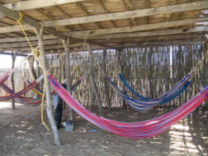 Wayuu People