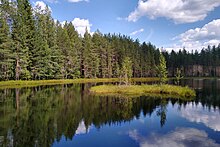 Natural floating island on small lake in Finnish Lakeland Natural floating island.jpg