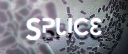 Splice Video Oyunu Logo.jpg