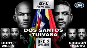 300px-UFCFightNight142poster.png