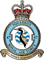 Squadron badge