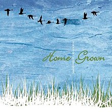 Home Grown - When It All Comes Down cover.jpg