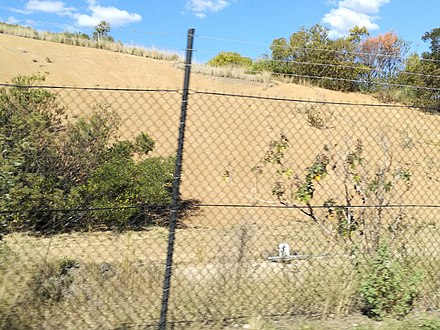 Wianamatta Shale on Prospect Highway, Pemulwuy. Prospect Hill vegetation.jpg