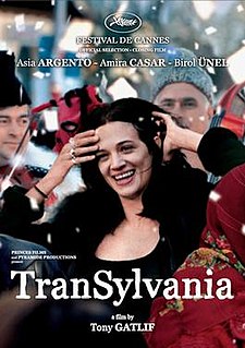 <i>Transylvania</i> (film) 2006 French film