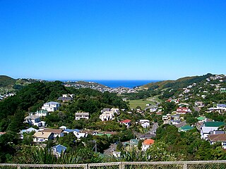 <span class="mw-page-title-main">Vogeltown, Wellington</span> Suburb in Wellington City, New Zealand