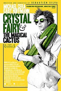 <i>Crystal Fairy & the Magical Cactus</i> 2013 film by Sebastián Silva