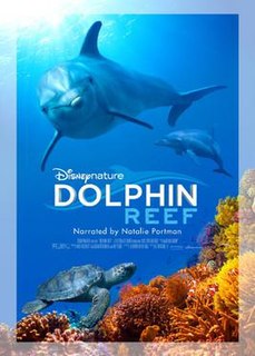 <i>Dolphin Reef</i> (film) 2020 American nature documentary film about dolphins