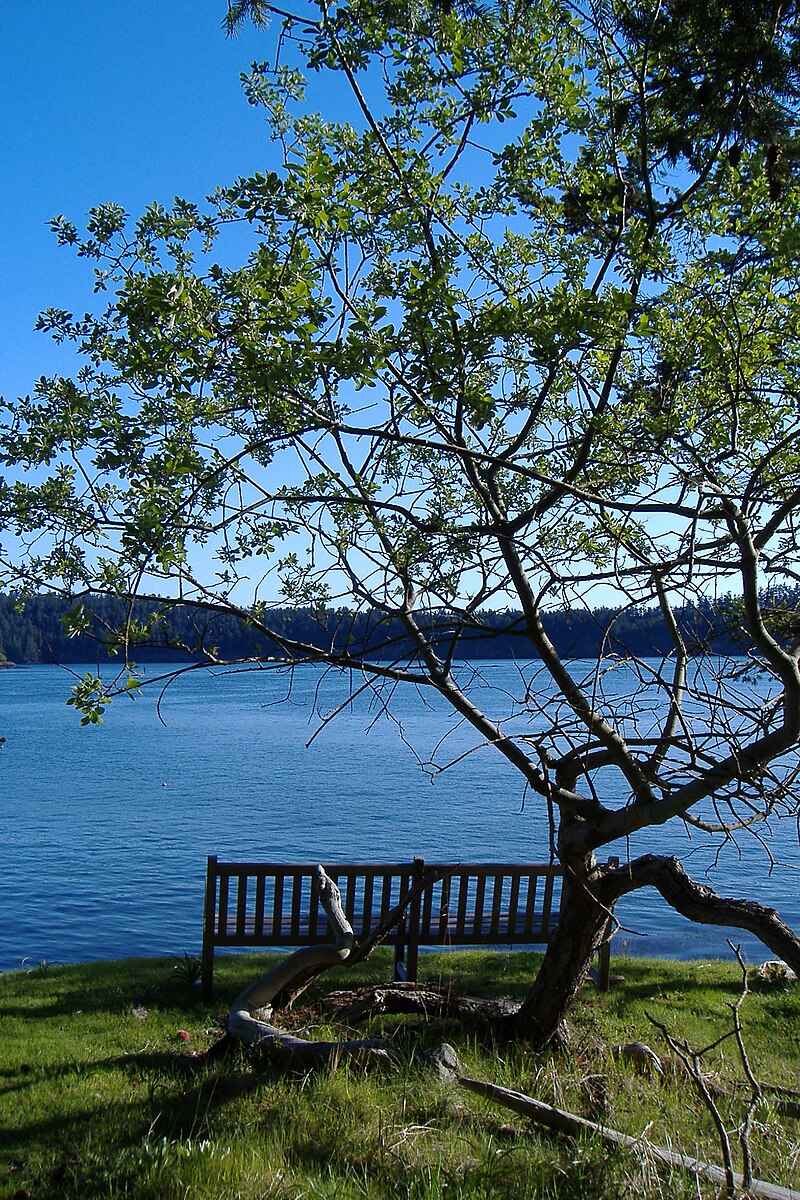 Johns Island (Washington)