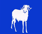 Partai Nasional Kelahiran kembali logo.png