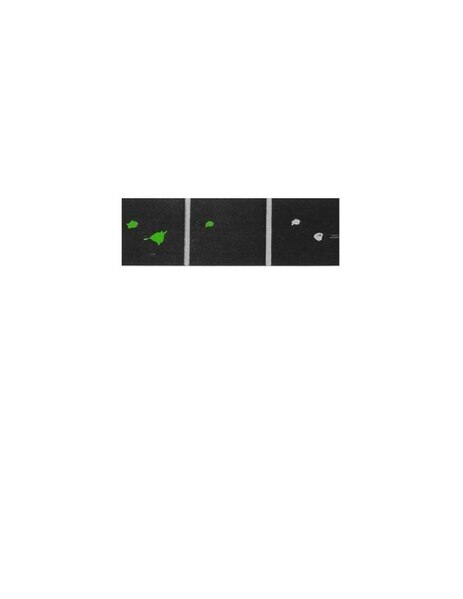 File:Proposed molecular mechanism for Fluorochromasia.pdf