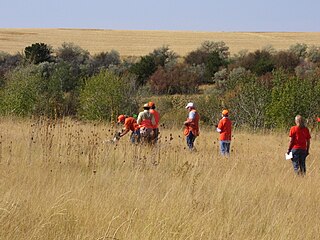 Field trial