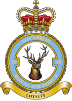 Emblema do esquadrão
