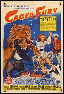 Caged Fury poster.jpg