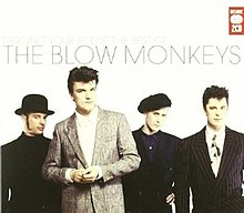 Digging Your Scene The Best of The Blow Monkeys.jpg