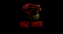 Red Rose title card.png