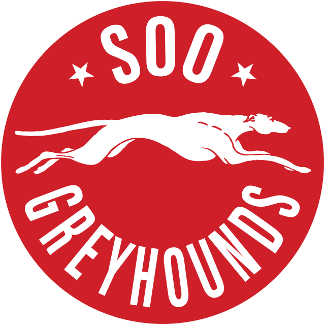 OHL Fan Guide to the 2020 NHL Draft - Soo Greyhounds