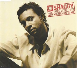 Why You Treat Me So Bad (Shaggy song) 1995 single by Shaggy