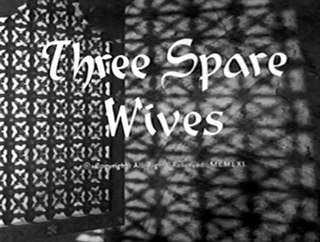 <i>Three Spare Wives</i> 1962 British film by Ernest Morris