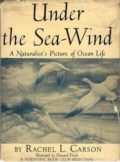 <i>Under the Sea Wind</i>