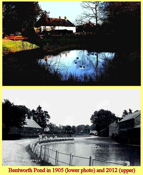 File:Bentworth pond 1905 & 2012.jpg