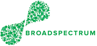 <span class="mw-page-title-main">Broadspectrum</span> Australian infrastructure maintenance services company