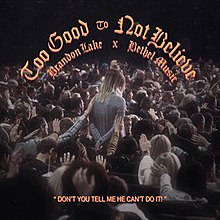 "Too Good to Not Believe" Single Cover