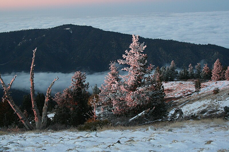 File:Winter Day on Pinos.jpg