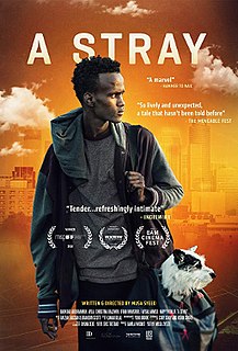 <i>A Stray</i> 2016 American film