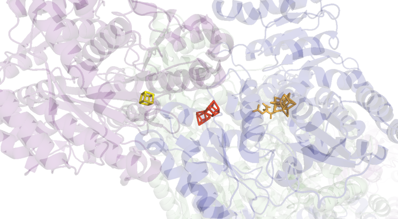File:Cartoon Nitrogenase with Active Site Magnified.png