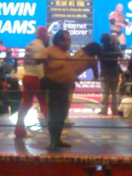 Alvarado in CMLL as "Rotoporky" Brazo de Plata