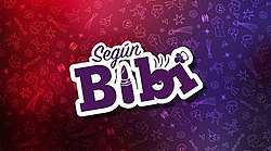 Según Bibi logo.jpg