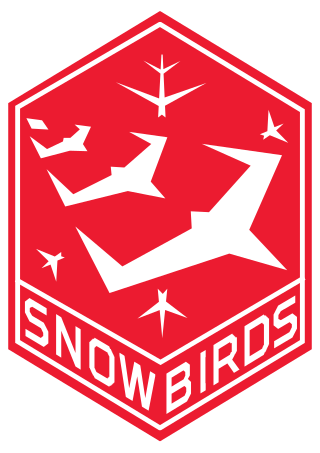 <span class="mw-page-title-main">Snowbirds (aerobatic team)</span> Canadas military flight demonstration squadron