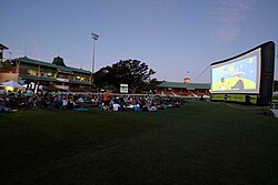 Kino Starlight w North Sydney Oval.jpg