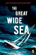 The Great Wide Sea, book cover. The Great Wide Sea.jpg