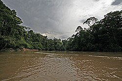 Tiputini River.jpg