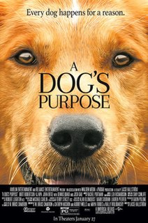 <i>A Dogs Purpose</i> (film) 2017 film by Lasse Hallström