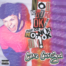 Chaz Cardigan - Not OK!.png