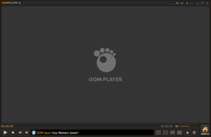 GOM Player Default Skin Screenshot.PNG