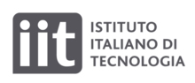 Iit official logo.png