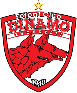 <span class="mw-page-title-main">FC Dinamo București</span> Association football club in Bucharest