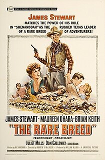 <i>The Rare Breed</i> 1966 film