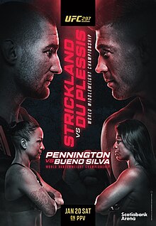 UFC 297 poster.jpg
