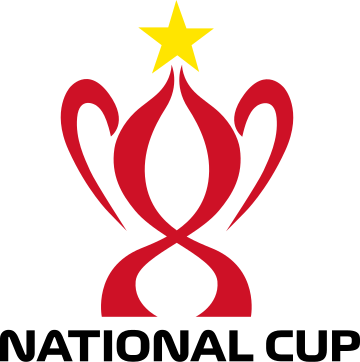 Vietnamese National Football Cup