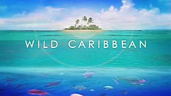 Wilde karibische Titelkarte