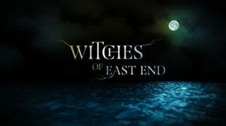 <i>Witches of East End</i> (TV series) 2014 American supernatural TV series