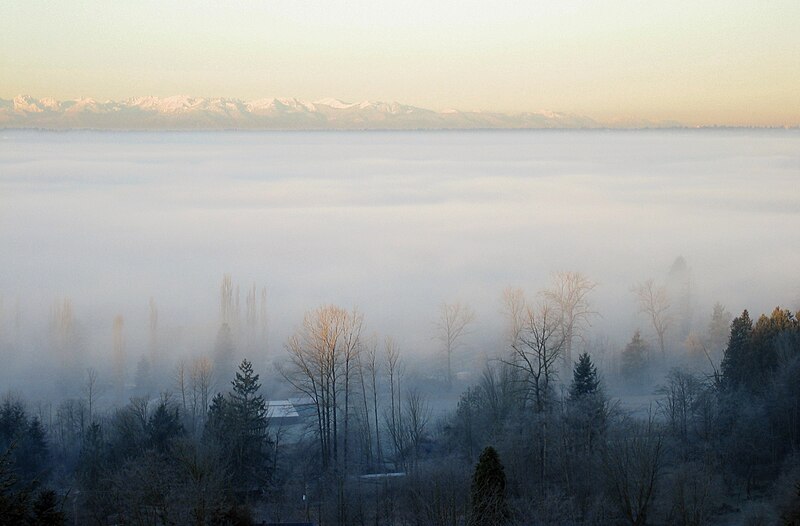 File:December Fog 01 edit Fcb981.jpg